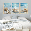 Coastal Pearl Framed Canvas Art Extravagant 20x30
