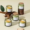 Handmade  2.5oz Scented Soy Wax Candle