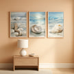 Coastal Pearl Framed Canvas Art Extravagant 20x30