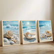Coastal Pearl Framed Canvas Art Extravagant 20x30